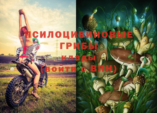 экстази Алексеевка