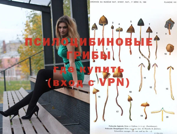 экстази Алексеевка
