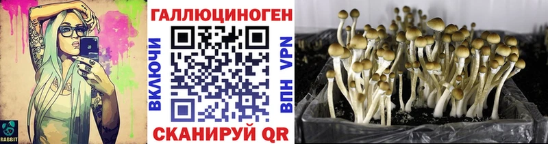 сколько стоит ОМГ ОМГ ссылки Псилоцибиновые грибы мухоморы Кашин