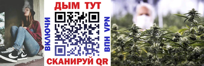 Шишки марихуана SATIVA & INDICA  mega маркетплейс  Кашин 